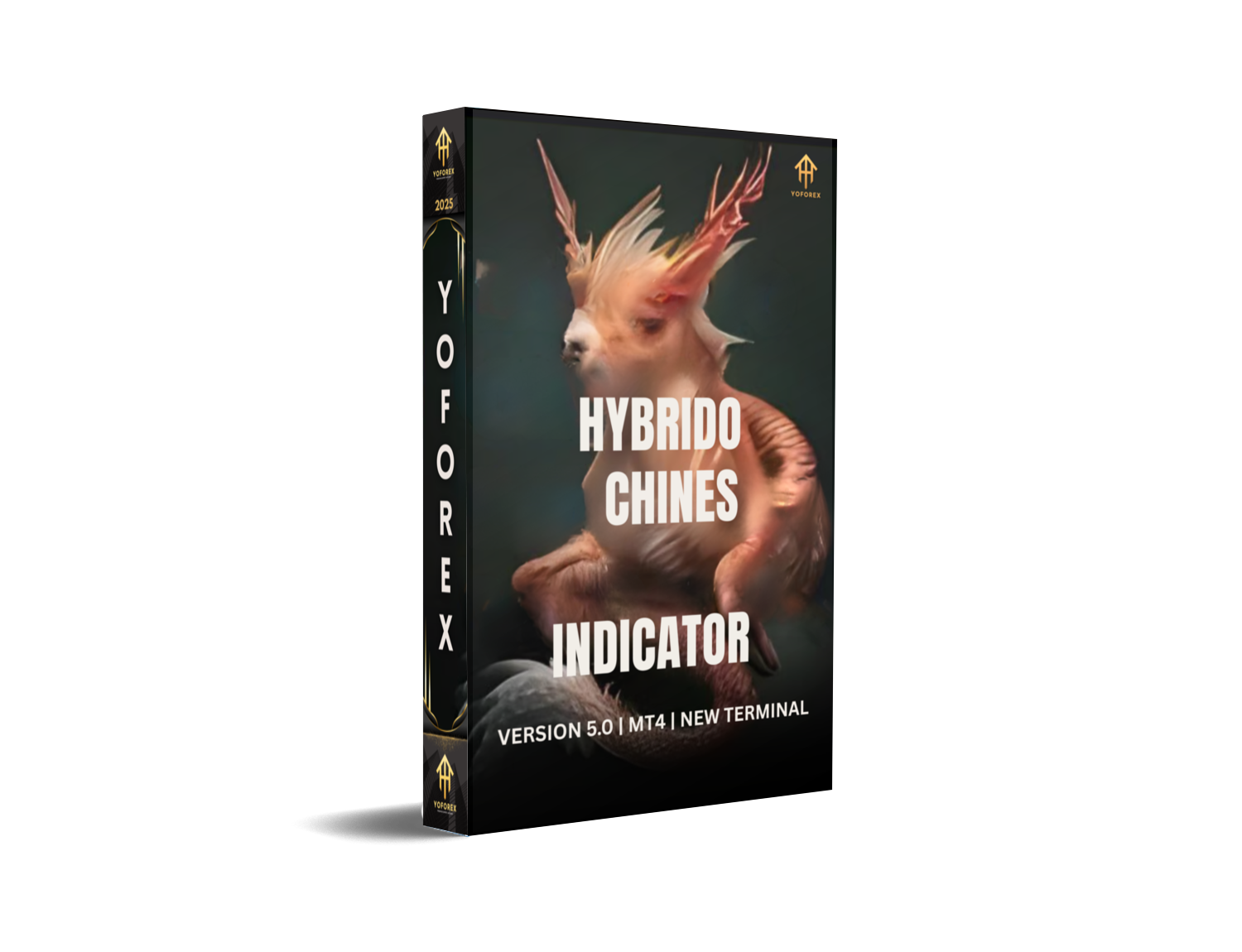 Upgrade Your Forex Trading with Hybrid Chinese Indicators V5.0 MT4: A Comprehensive Guide