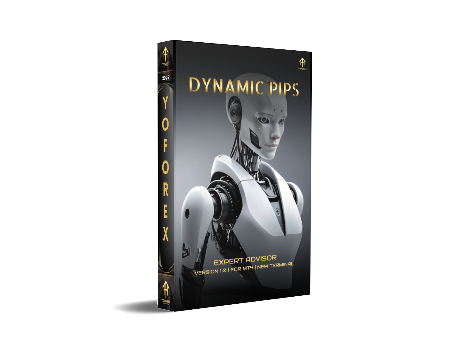 Dynamic Pips D4 EA V1.0: The Ultimate Forex Trading Automation Tool for 2025 - FREE DOWNLOAD
