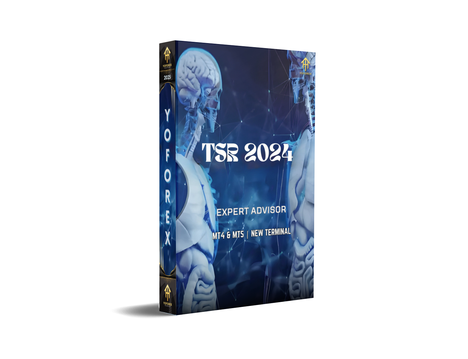 TSR 2024 EA MT4 & MT5: The Ultimate Forex Trading Robot for 2024 - FREE DOWNLOAD
