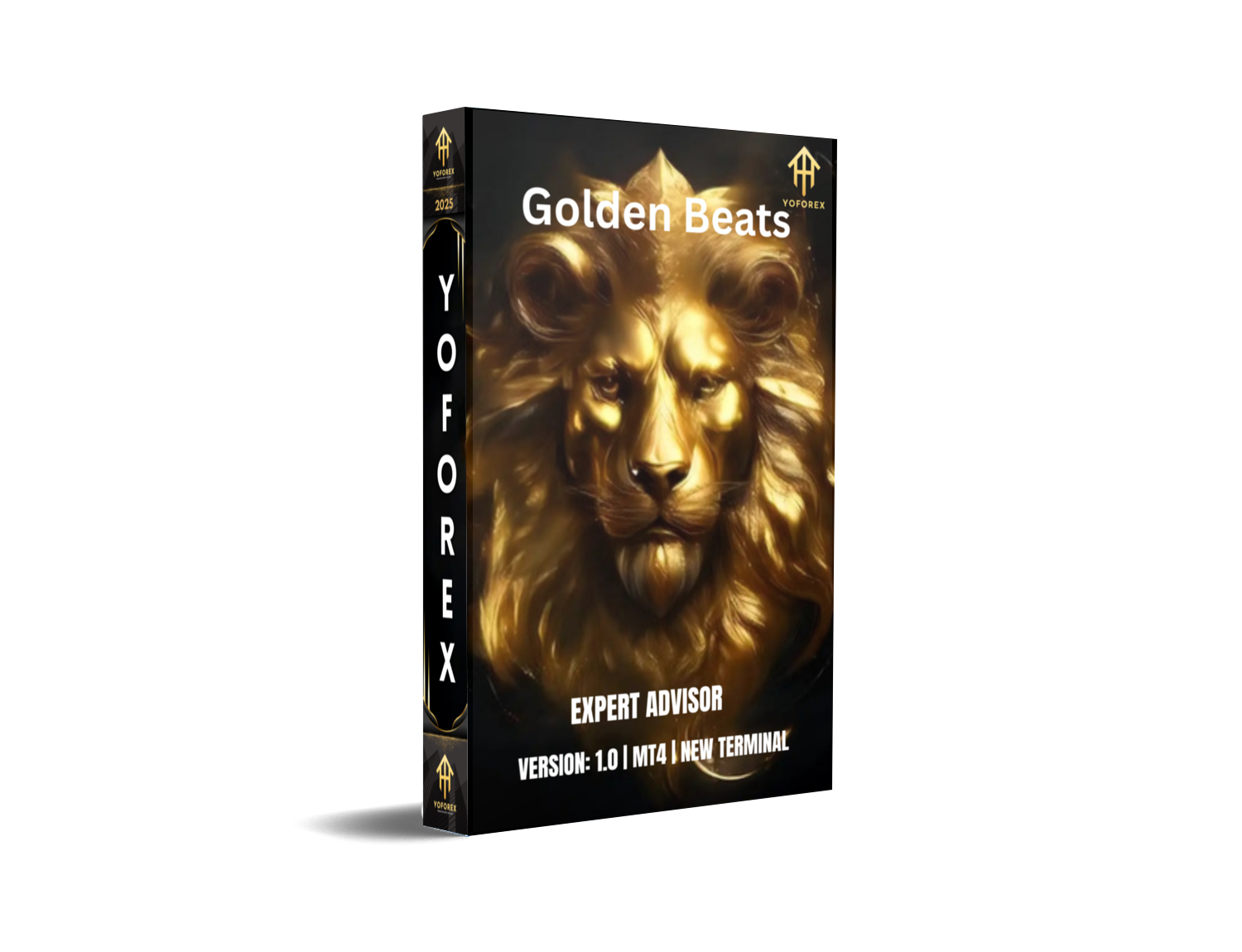 Golden Beats EA V1.0 MT4 Review: Master the Rhythm of Gold Trading - FREE DOWNLOAD