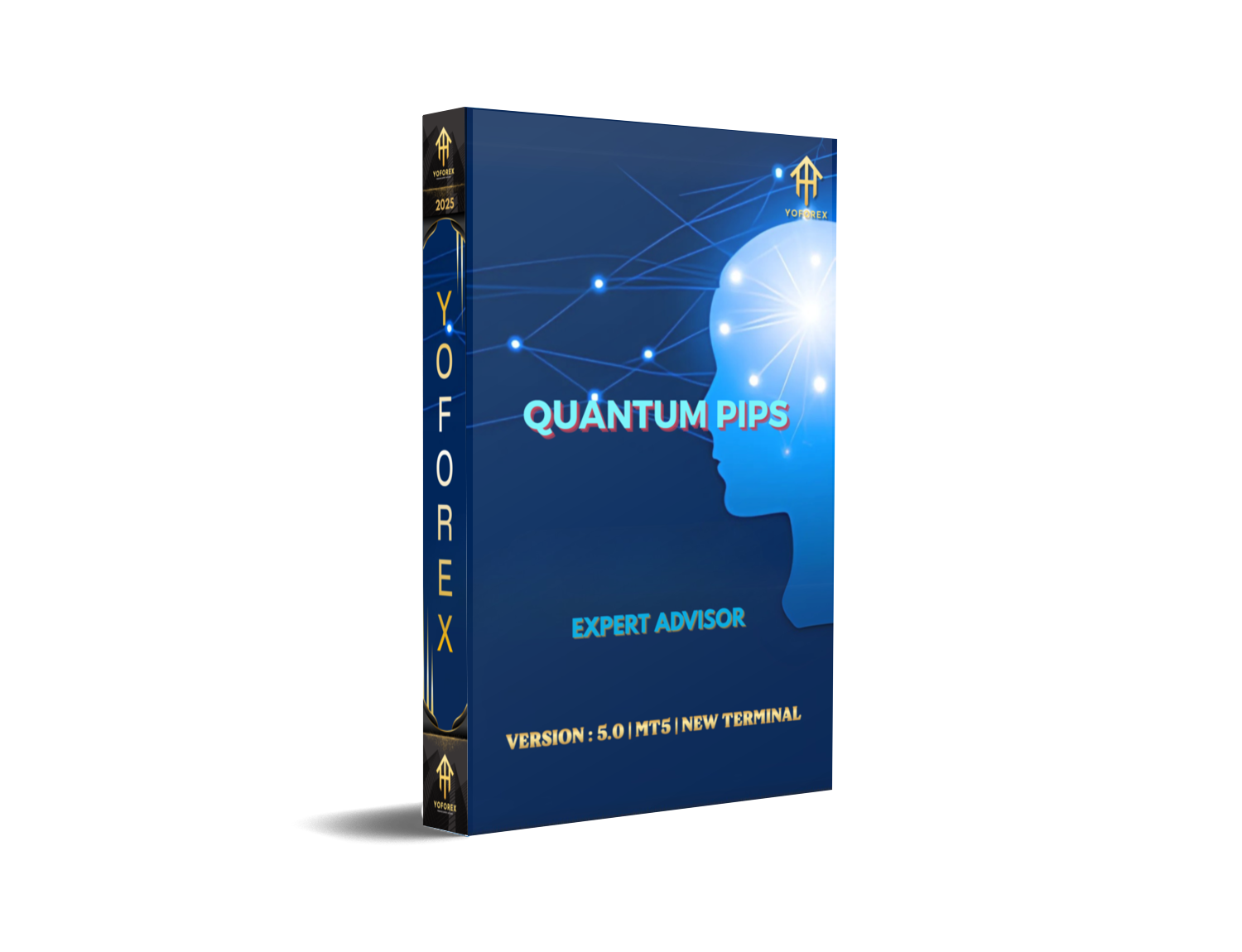 Quantum Pips EA V5 MT5: Precision Scalping with Next-Gen Algorithms- FREE DOWNLOAD