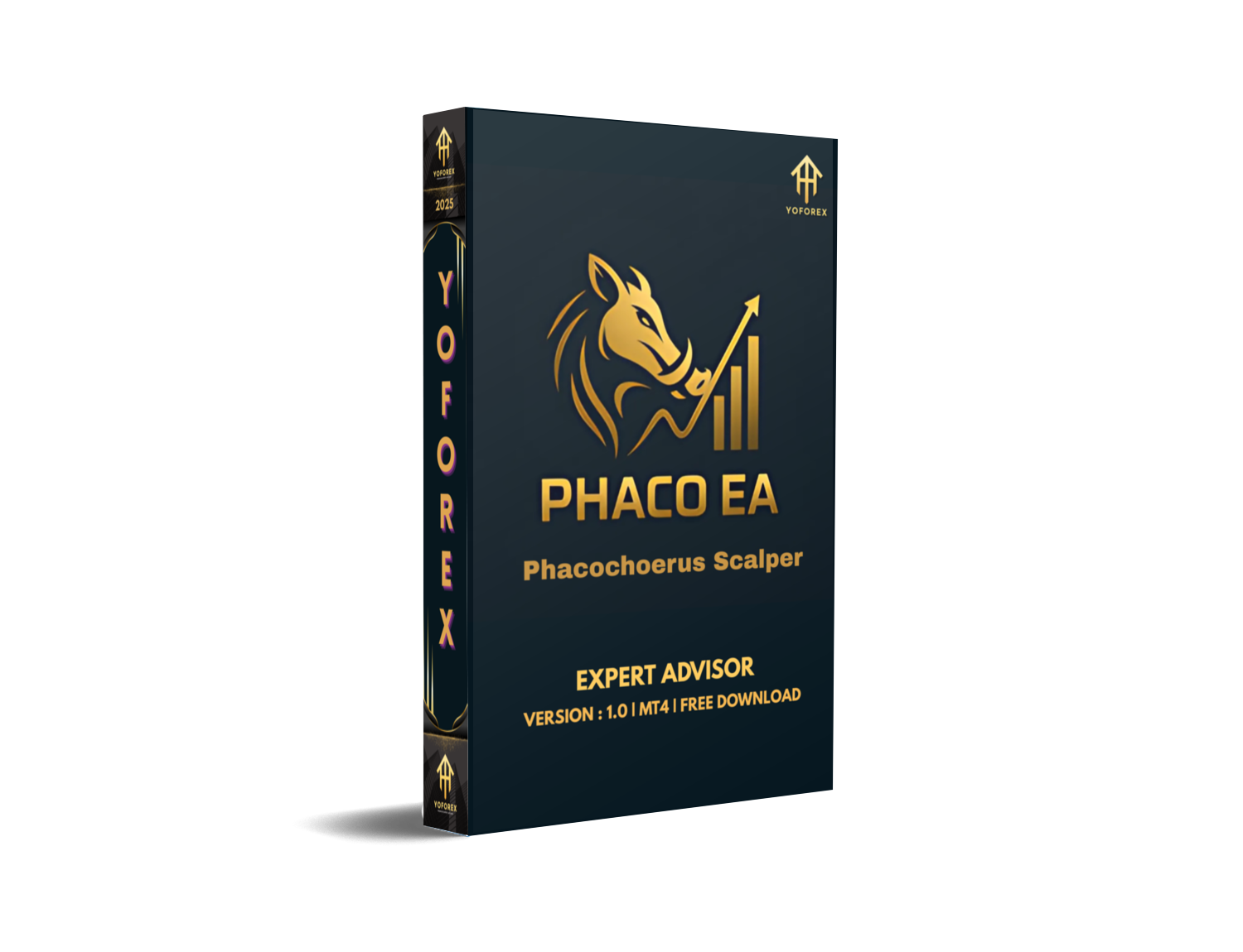 Phacochoerus Scalper EA V1.0 MT4 Trade the Breaks with Precision – FREE DOWNLOAD